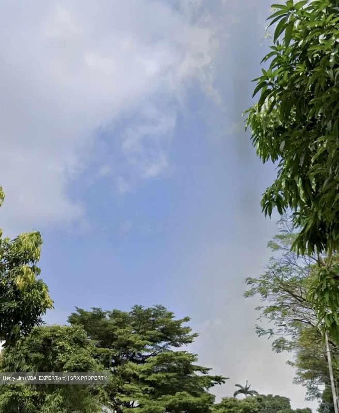 Jalan Kelulut (D28), Semi-Detached #548369911